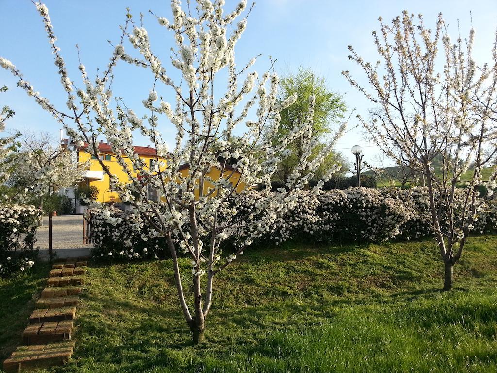 Osteria Da Cesare E Locanda Castel San Pietro Terme Dış mekan fotoğraf